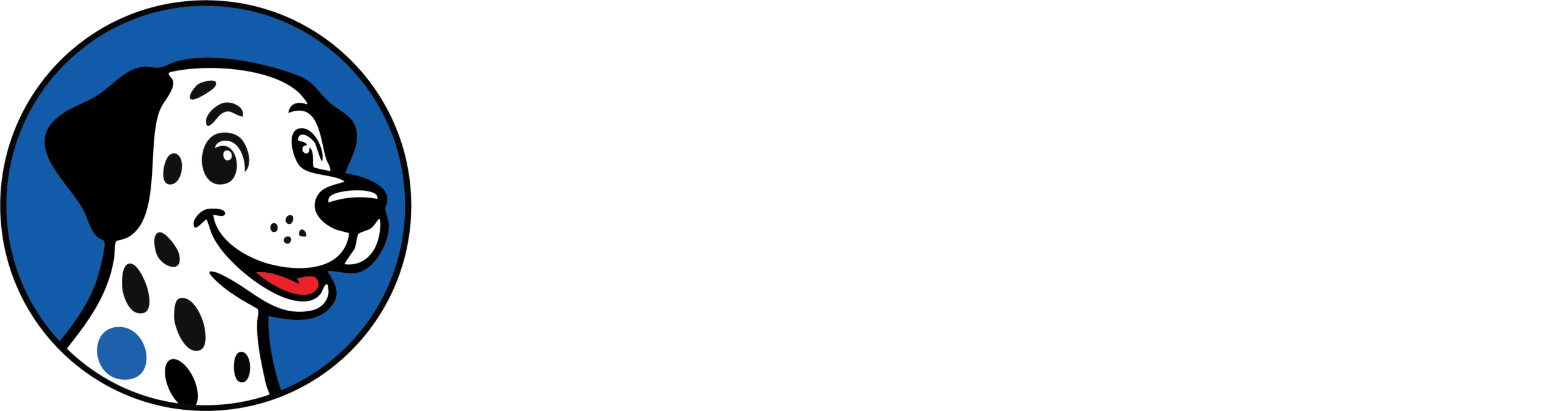 BlueSpot Guide