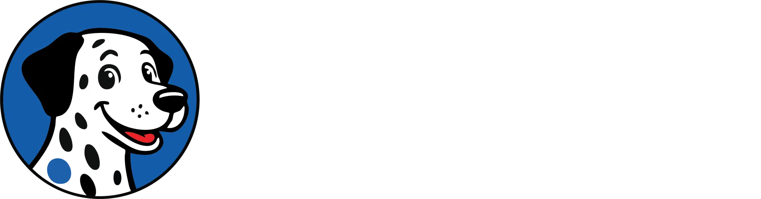 BlueSpot Guide