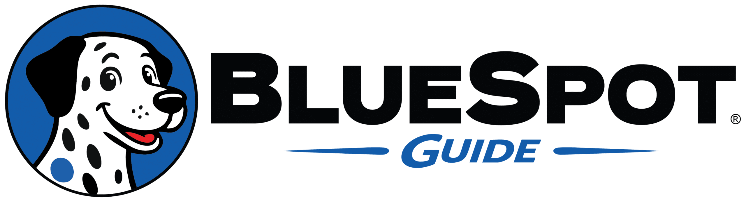 BlueSpot Guide Logo New