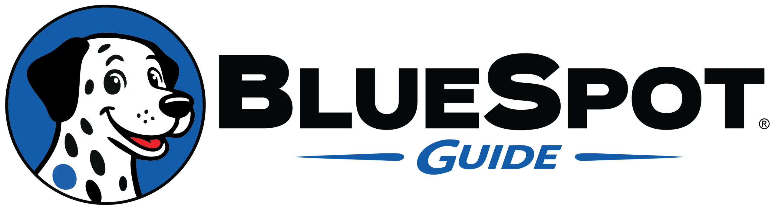 BlueSpot Guide Logo New