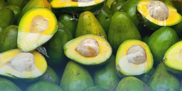 Pharr Annual Avocado Festival