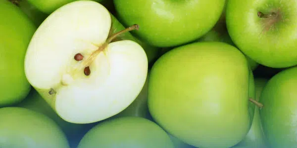 Georgia Apple Festival