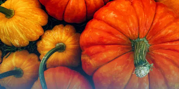 Half Moon Bay Art & Pumpkin Festival