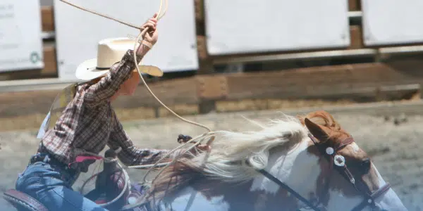 Washington County Fair