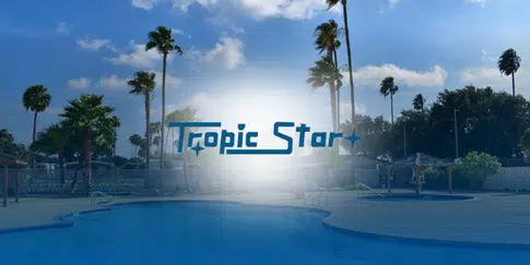 Pool at Tropic Star surrounded by tall palm trees under a bright, clear sky.