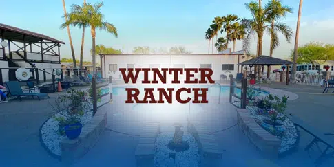 Pool area at Winter Ranch with palm trees, seating, and landscaped planters on a sunny day.