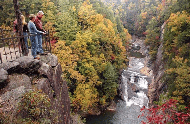 Scenic view of Anna Ruby Falls and Tallulah Gorge in North Georgia, featuring cascading waterfalls, steep cliffs, and forested landscapes.