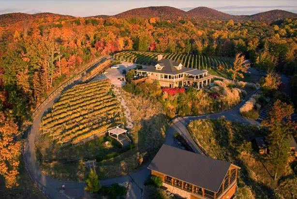 Visitors touring vineyards and craft breweries in North Georgia mountain towns, enjoying scenic views and local drinks.