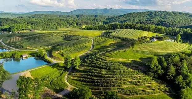 Hidden Gems in North Georgia Towns