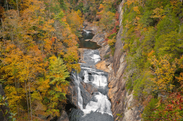 Scenic views of Tallulah Gorge near Clayton, Georgia, paired with local art galleries showcasing regional artwork.