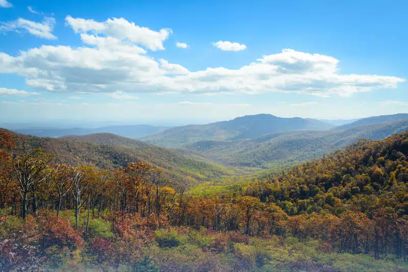 Shenandoah National Park
