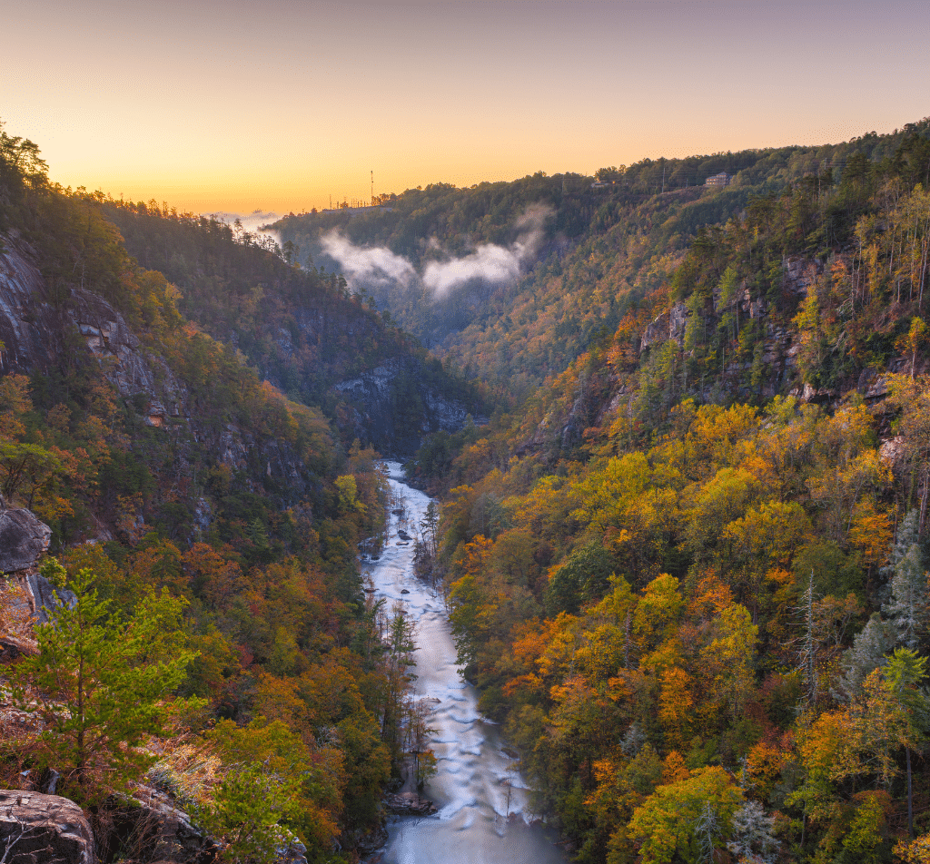 Winter drive along the Tallulah Gorge Scenic Loop in North Georgia, featuring dramatic canyon views, waterfalls, and forested overlooks