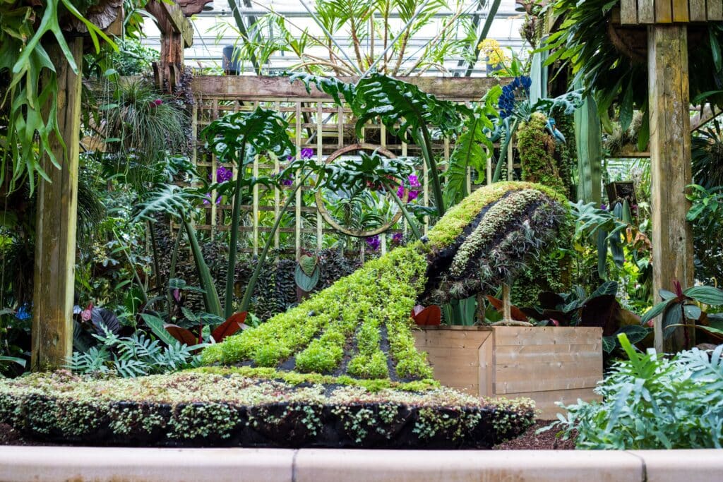 Peacock-shaped topiary display inside a tropical greenhouse at the State Botanical Garden of Georgia in Athens.