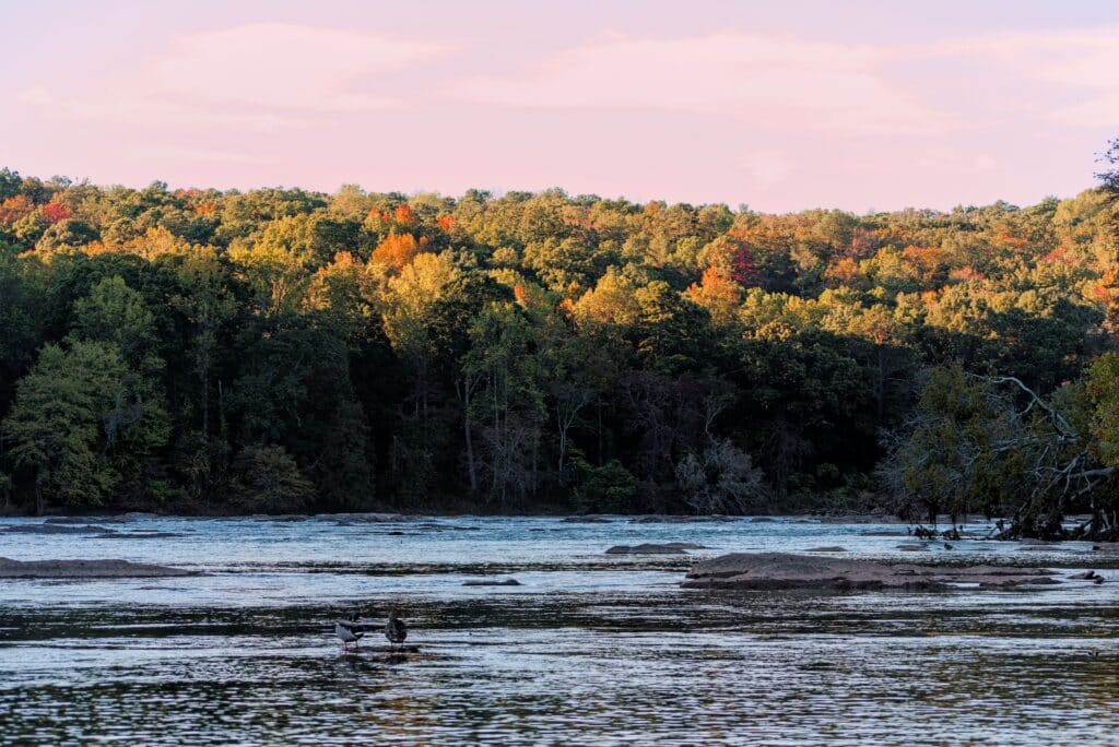 Chattahoochee River flowing through a forested North Georgia landscape during fall