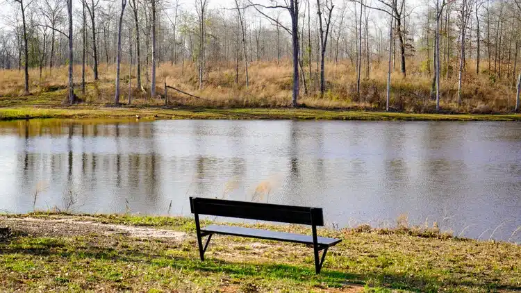Bench overlooking a peaceful pond at 4 County RV Park & Campground in Georgia