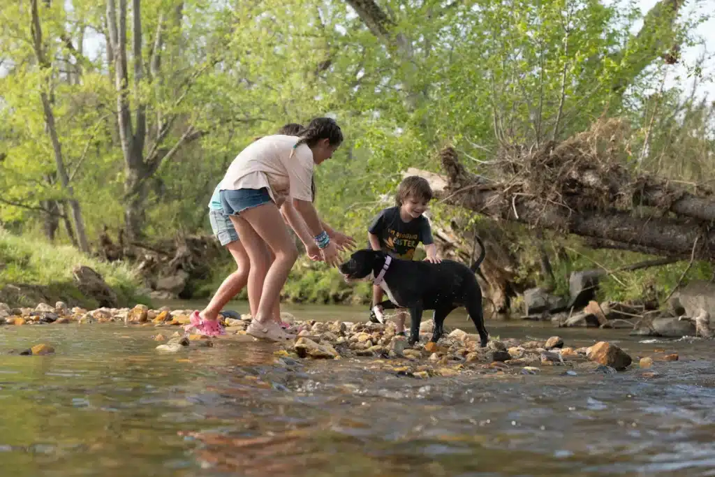 Children and dog playing in a shallow creek at Blue Ridge RV Resort