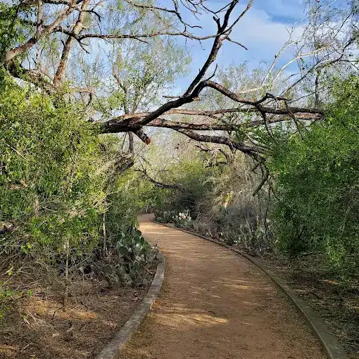 McAllen Nature Center