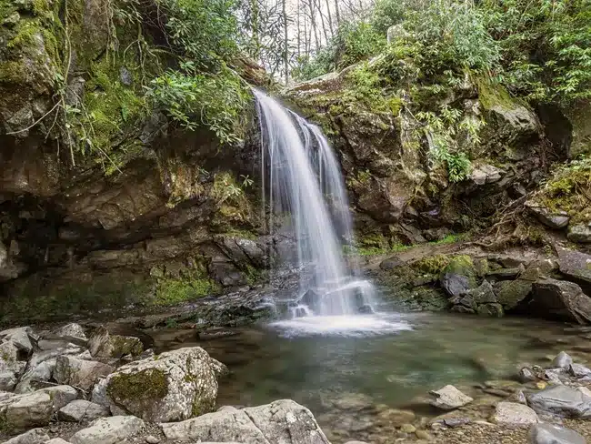 Roaring Fork Motor Nature Trail