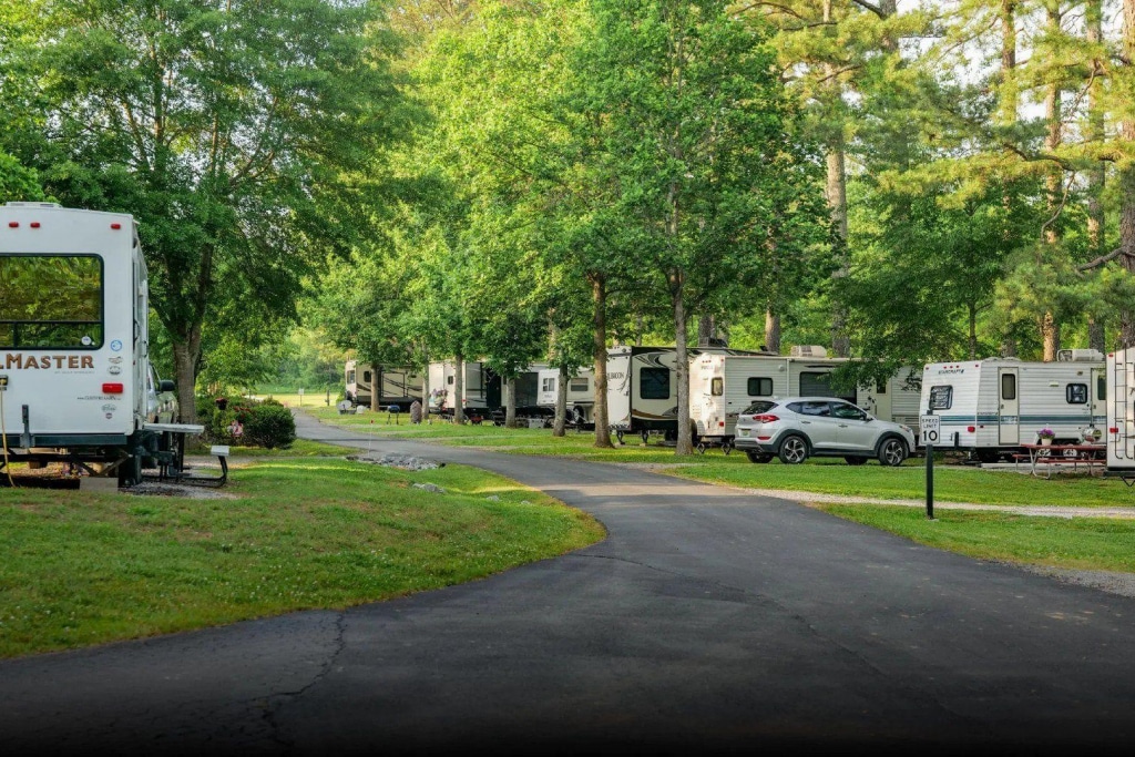 RV sites surrounded by trees at Unhitched Cullman in Alabama