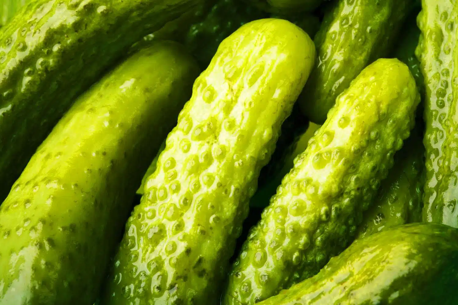 Cave Spring Picklefest