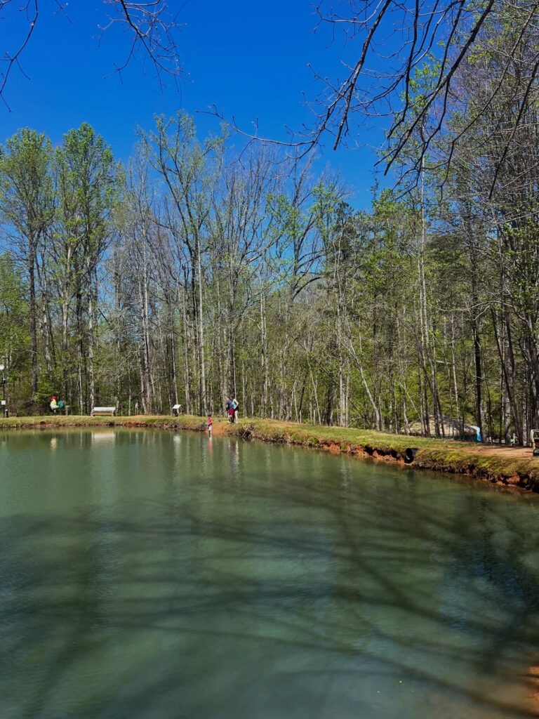 RV campsites overlooking a pond at Jenny's Creek Family Campground in Helen, Georgia