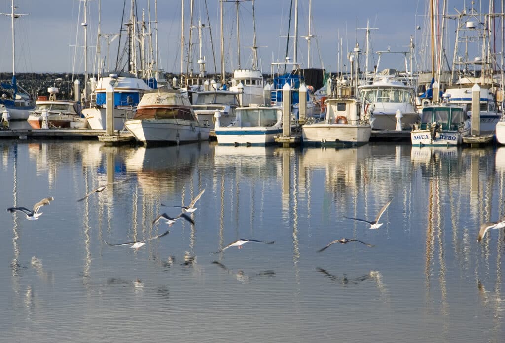 Boats docked at Pillar Point Harbor Marina with seabirds flying over calm water near Half Moon Bay.