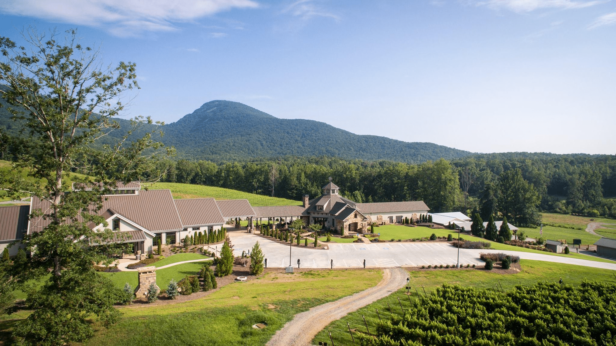 Yonah Mountain Vineyards