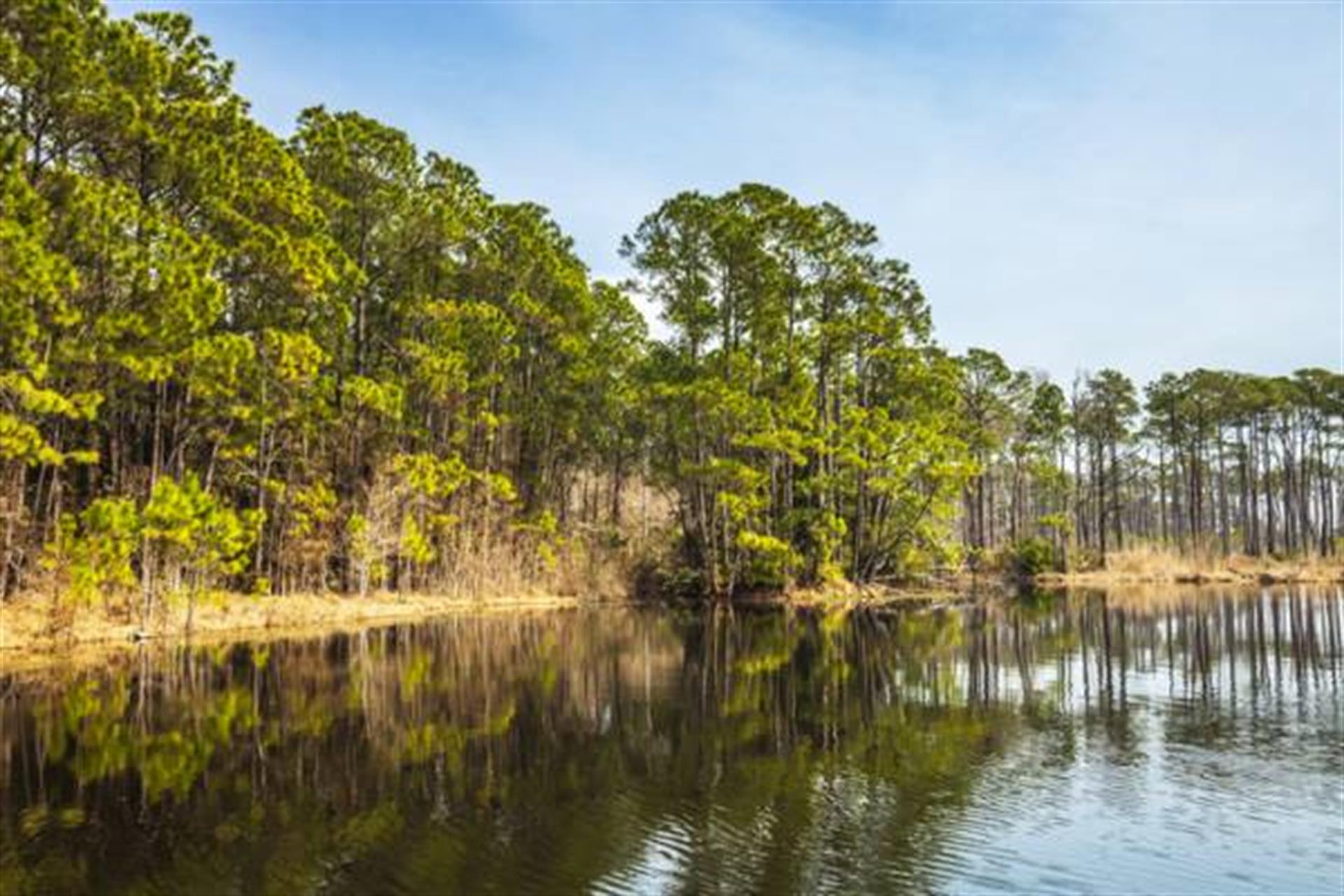 Graham Creek Nature Preserve