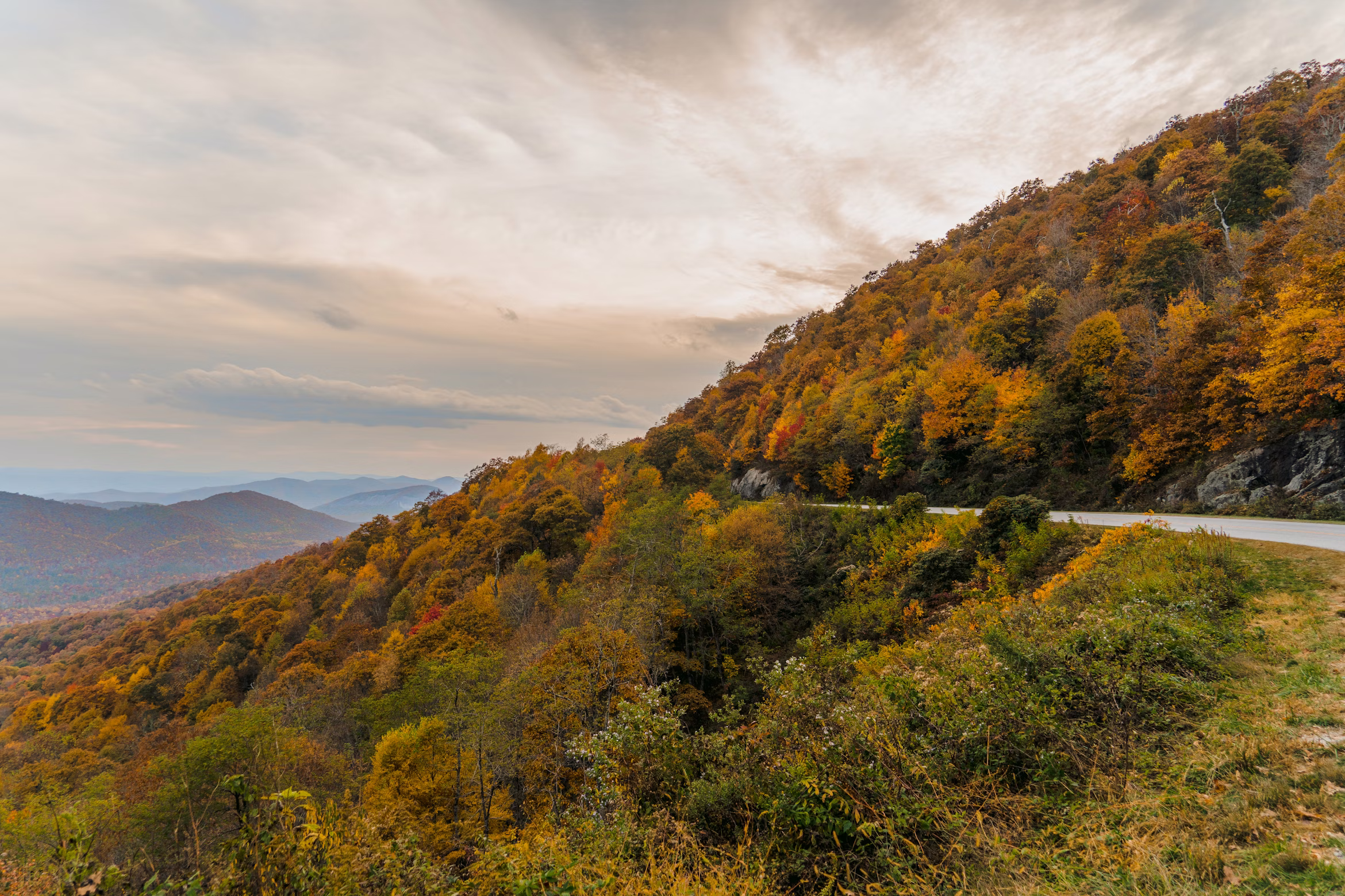 Scenic Blue Ridge Parkway road through forested mountains and rolling hills