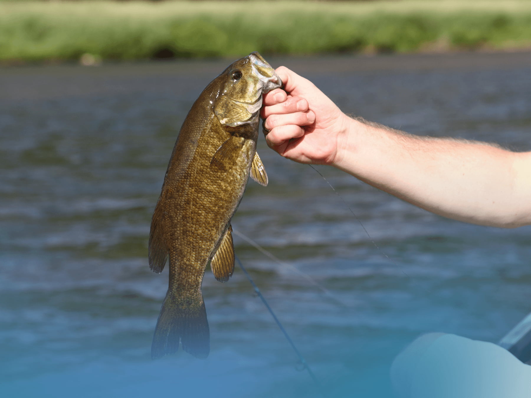 Smallmouth King Bass Fishing Tournament