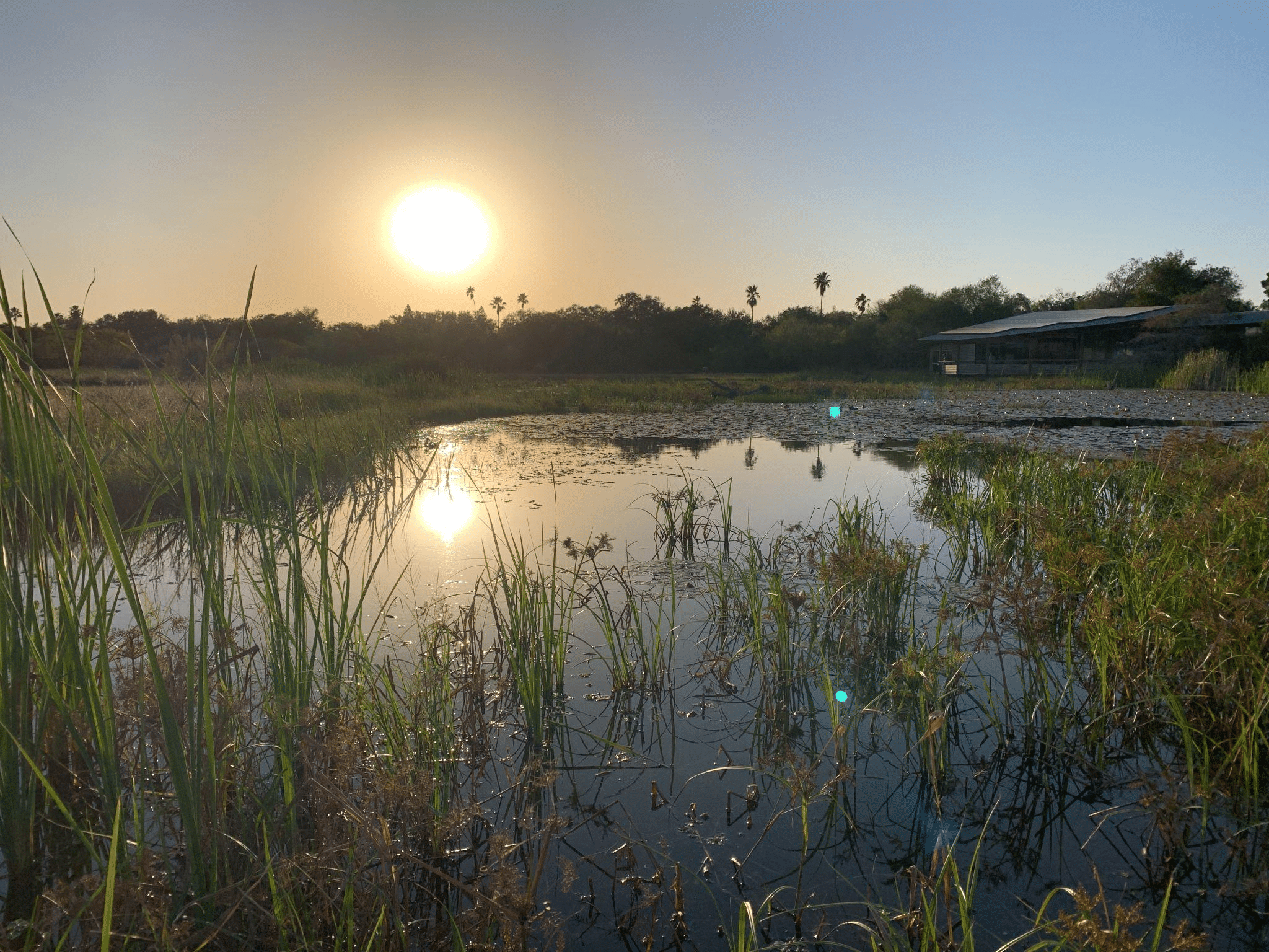 Santa Ana National Wildlife Refuge