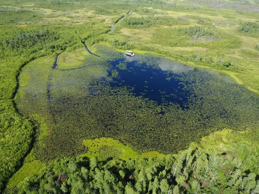 Okefenokee National Wildlife Refuge