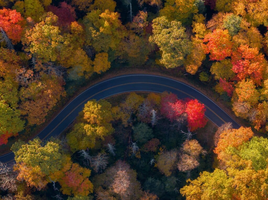 Aerial view of a winding mountain road surrounded by vibrant fall foliage