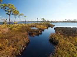 Bon Secour National Wildlife Refuge