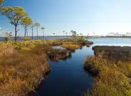 Logan Martin Lake