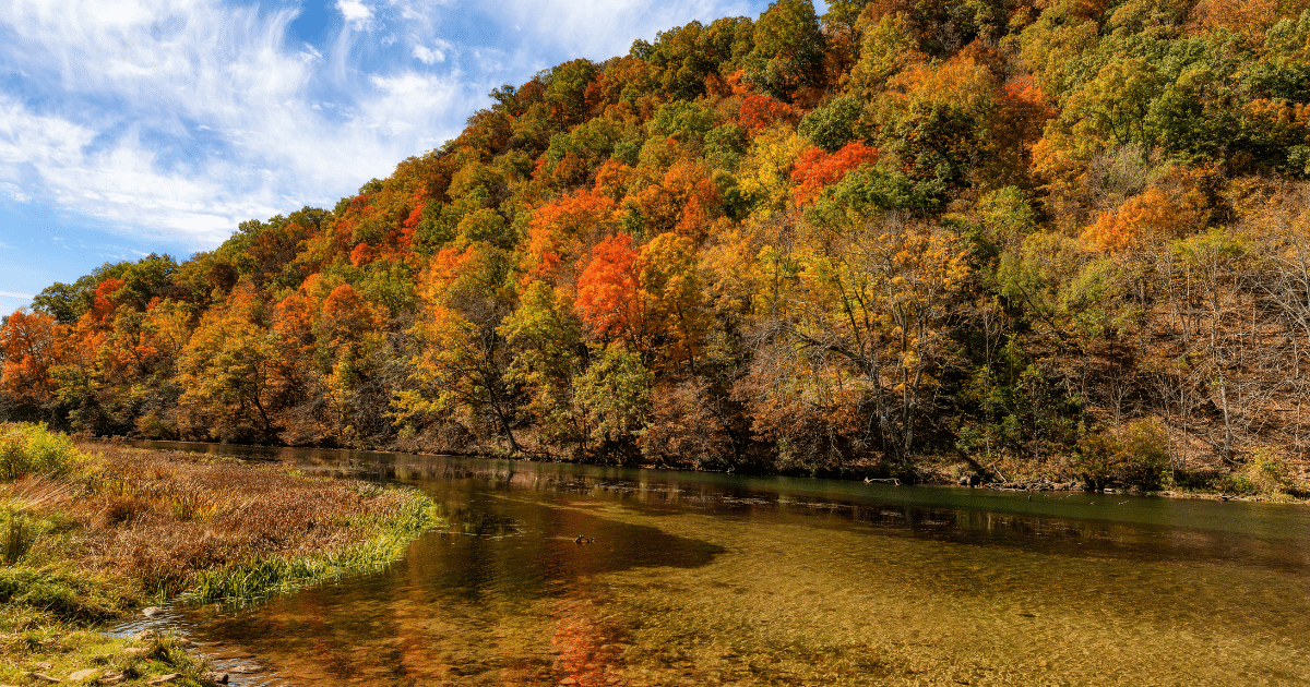 Cherokee National Forest