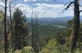 Coopers Creek Wildlife Management Area