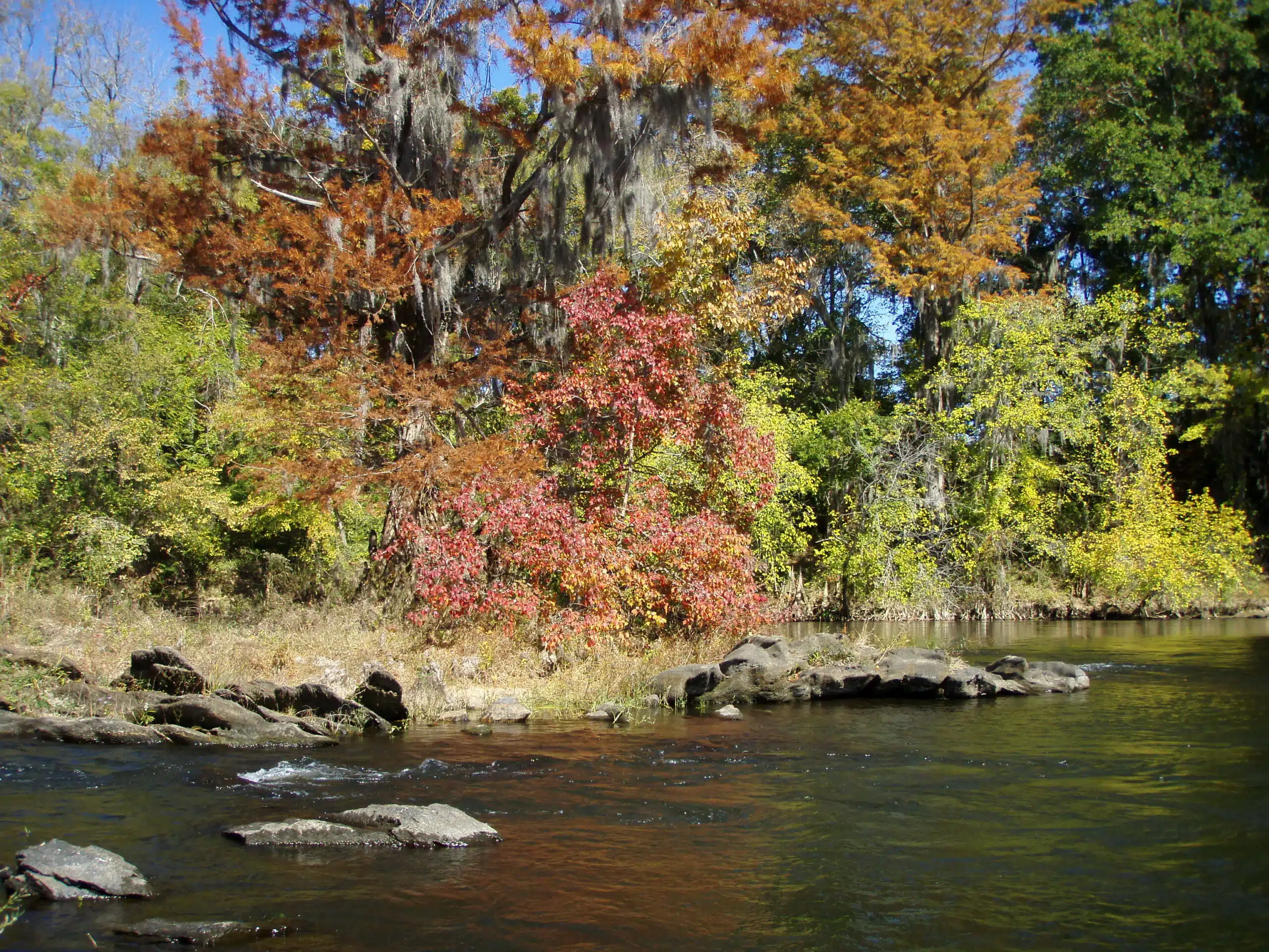 Coosa River