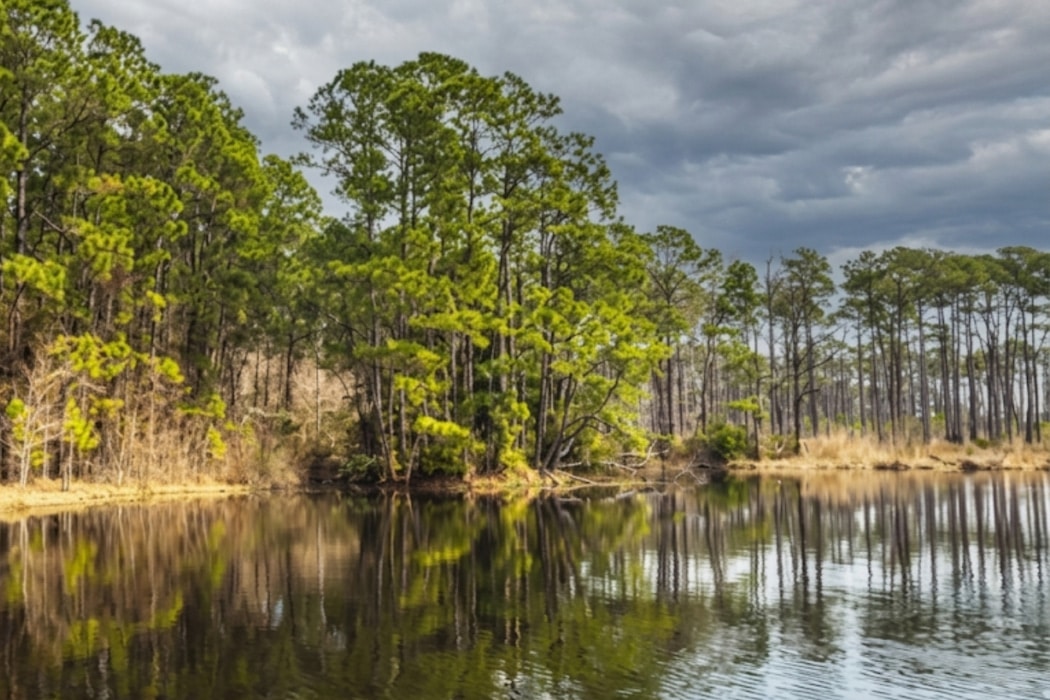 Graham Creek Nature Preserve