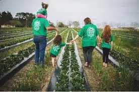 Greene Acres Farm Events