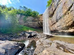 Lula Lake Land Trust