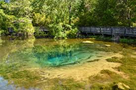 Magnolia Springs River