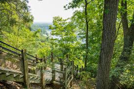 Mount Baldhead Park