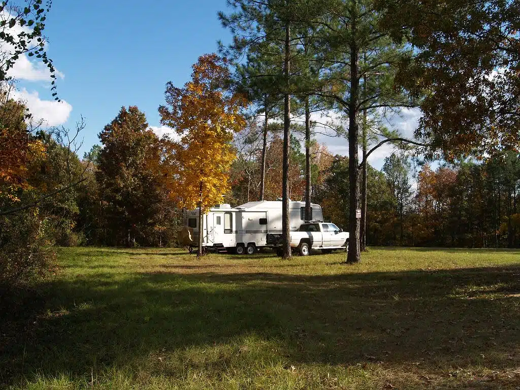 Ocmulgee Wildlife Management Area