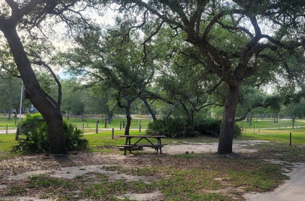 Picnic table under large oak trees at Ohoopee River RV & Camp Resort with shaded campground surroundings.