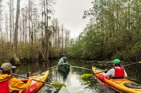 Okefenokee Adventures