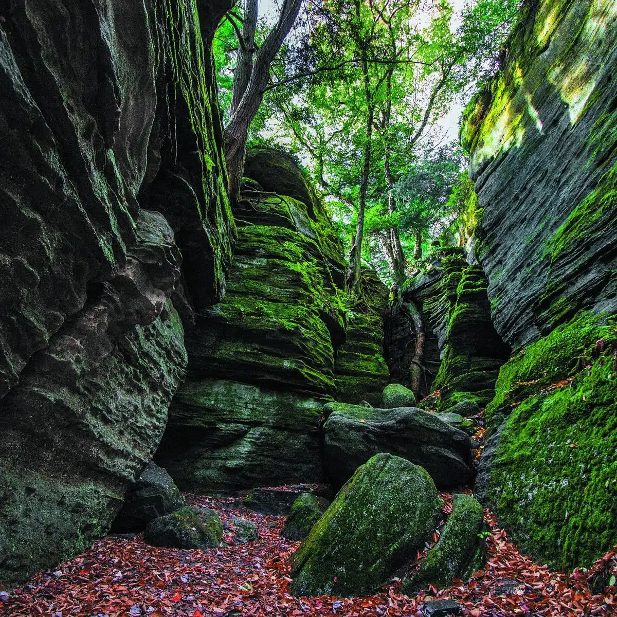 Panama Rocks Scenic Park