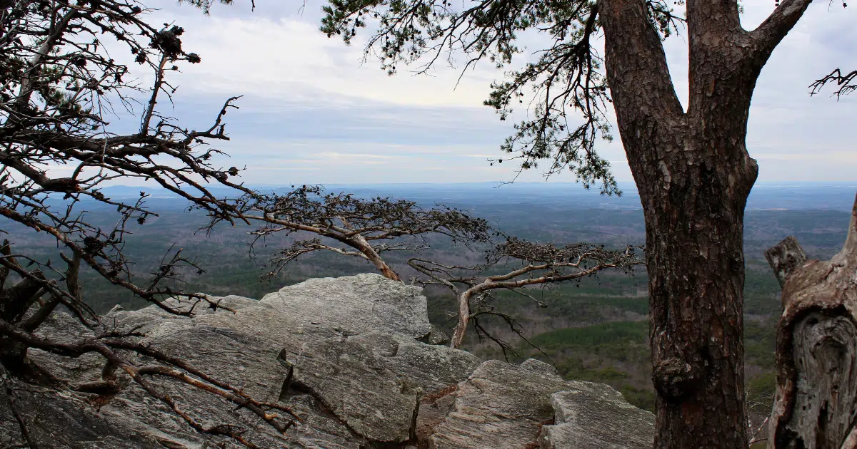 Cheaha State Park