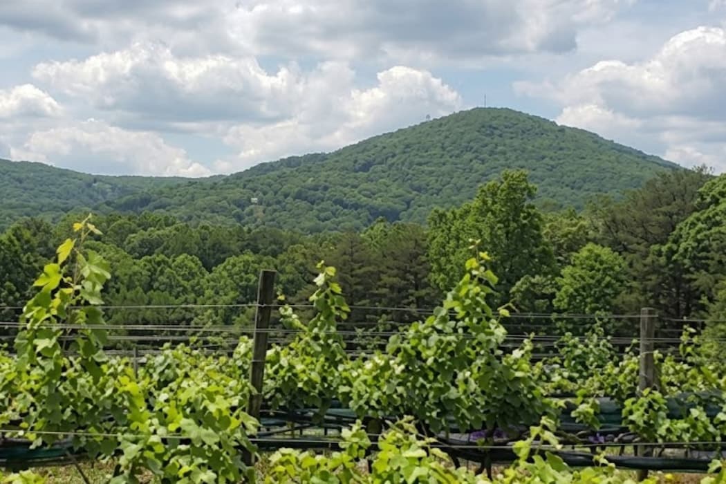Sharp Mountain Vineyards
