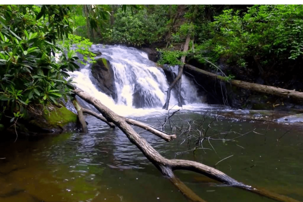 Smithgall Woods State Park